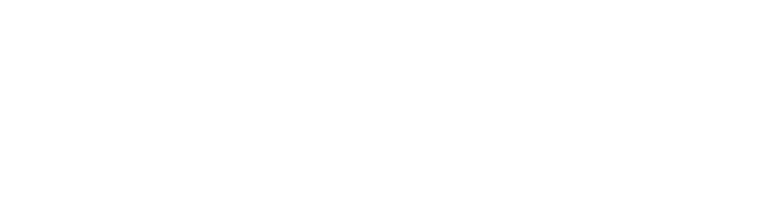 BK Vejle Invest